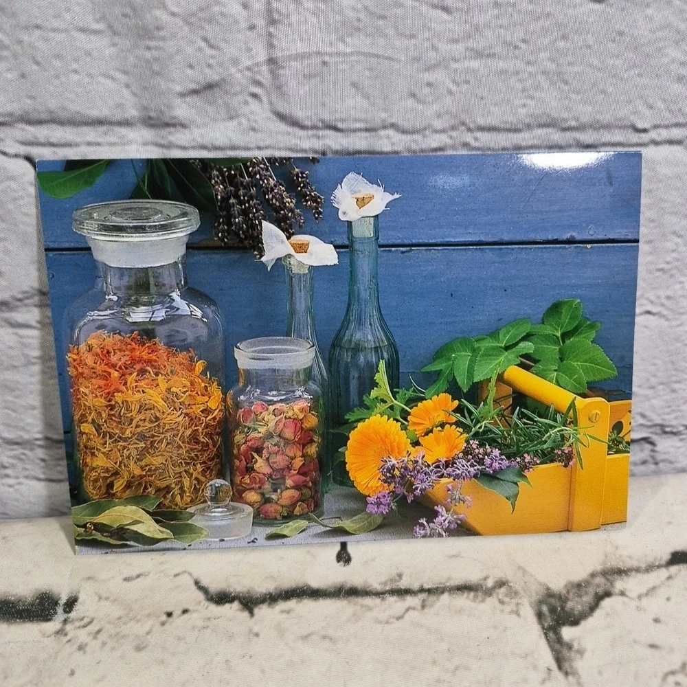 Rustic Living Botanical Herb Themed Note Cards Lot Of 5 Glossy Blank‎ Inside
